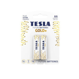 TESLA DRY BATTERIES AA GOLD+  (Pack of 2)