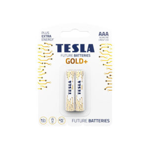 TESLA DRY BATTERIES AAA GOLD+ (Pack of 2)