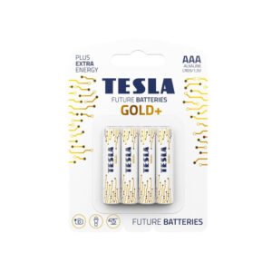 TESLA DRY BATTERIES AAA GOLD+  (Pack of 4)